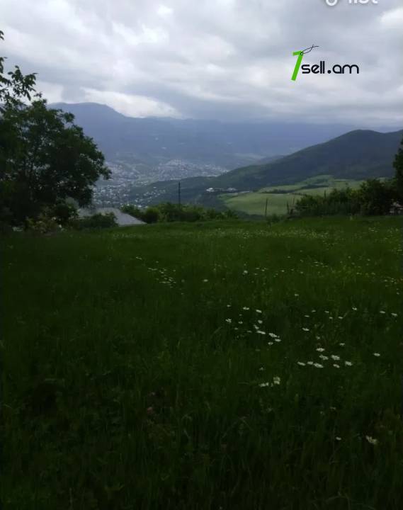 Տնամերձ հողամաս 