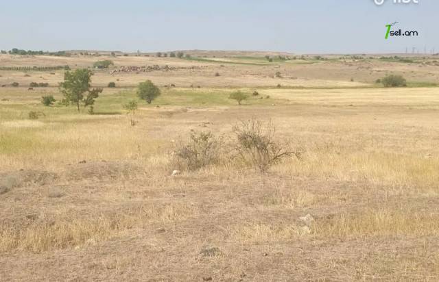 Գյուղատնտեսական հողատարածք Զովունիում, 3545 ք.մ.