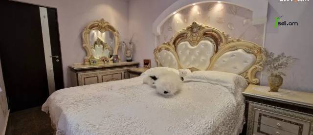 Մեկ հարկանի քարե տուն Դավթաշենի 5-րդ փողոցում Դավիթաշենում, 120 ք.մ., եվրովերանորոգված