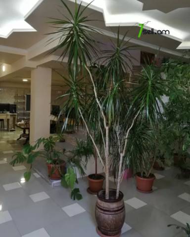 Երեք հարկանի քարե տուն, Ավան-Առինջ 2-րդ միկրոշրջան Ավանում, 1020 ք.մ., 3+ սանհանգույց