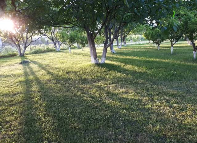 Հողատարածք բնակելի շինությունների համար Նոր Գյուղում, 2000 քմ