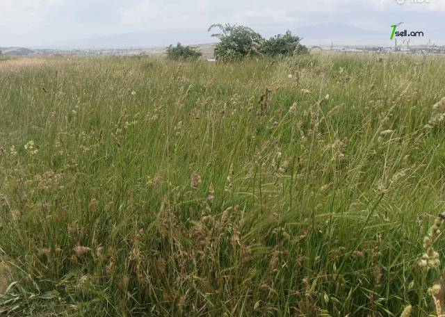 Հողատարածք բնակելի շինությունների համար Առինջի 27-րդ փողոցում Ավանում, 800 ք.մ.