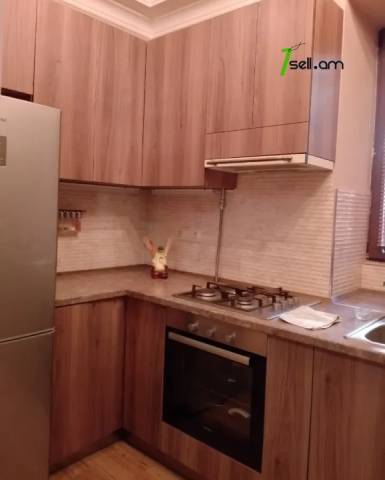 Ընդարձակ 1 սենյականոց բնակարան Պուշկինի փողոցում, 54 ք.մ., բարձր առաստաղներ, 2/4 հարկ