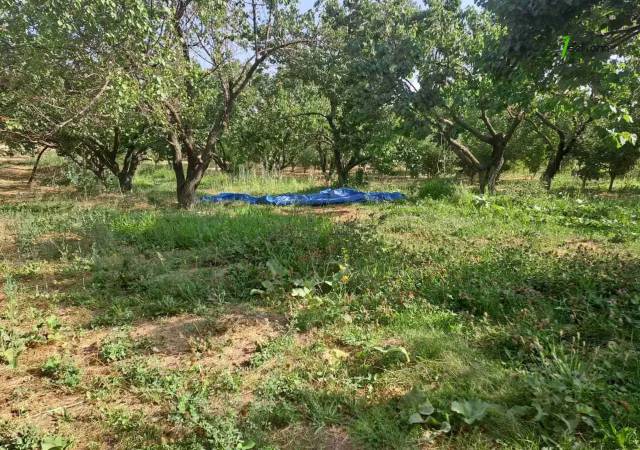 Գյուղատնտեսական հողատարածք Զովքում, 1700 ք.մ.